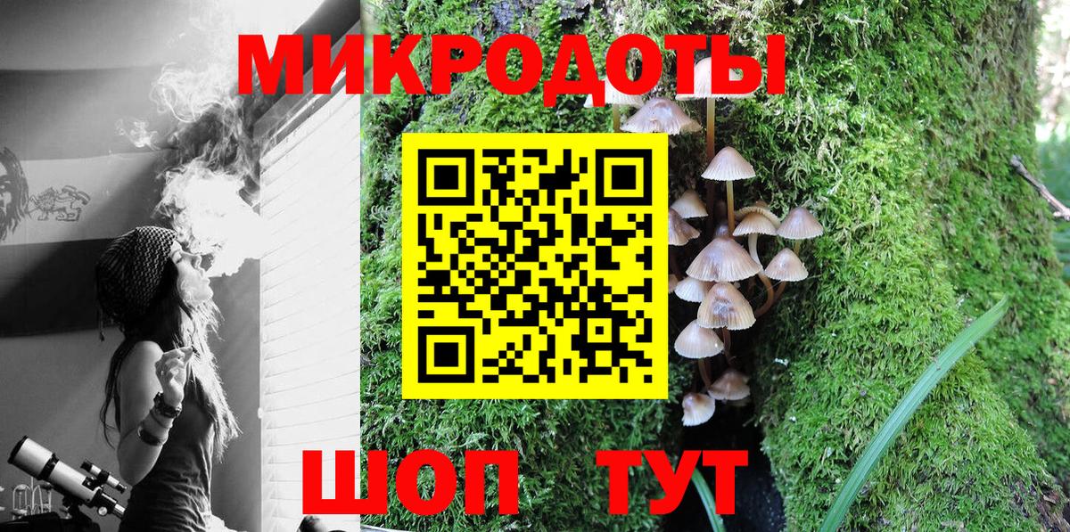 Псилоцибиновые грибы Psilocybe Елабуга