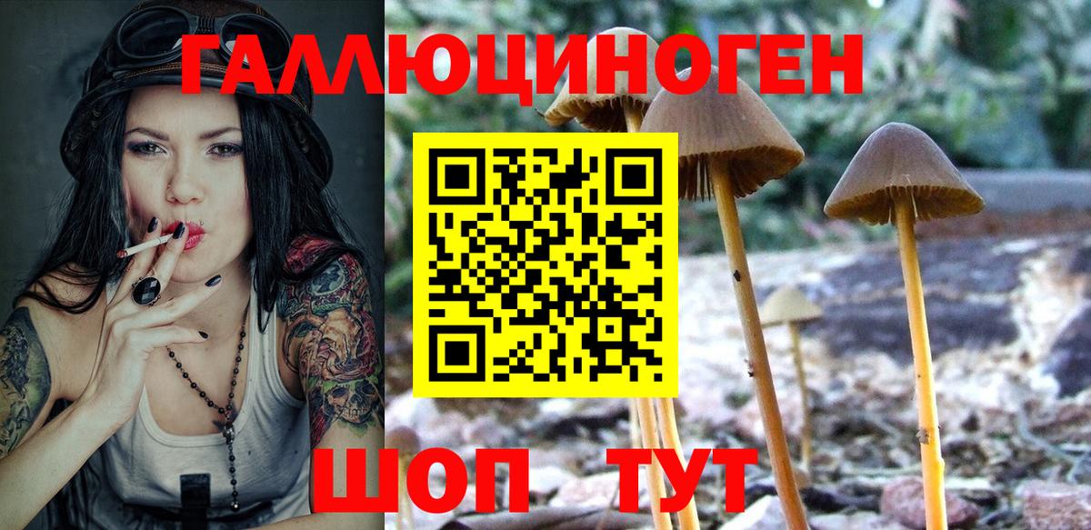 Елабуга  Галлюциногенные грибы Psilocybe  Вход с VPN 
